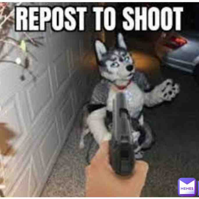 Meme shared by @Foxy_Gamer