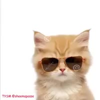 When ur in creative mode and you finished ur build