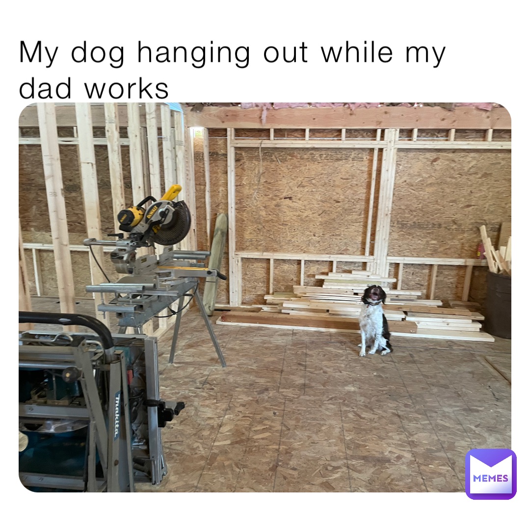 My dog hanging out while my dad works