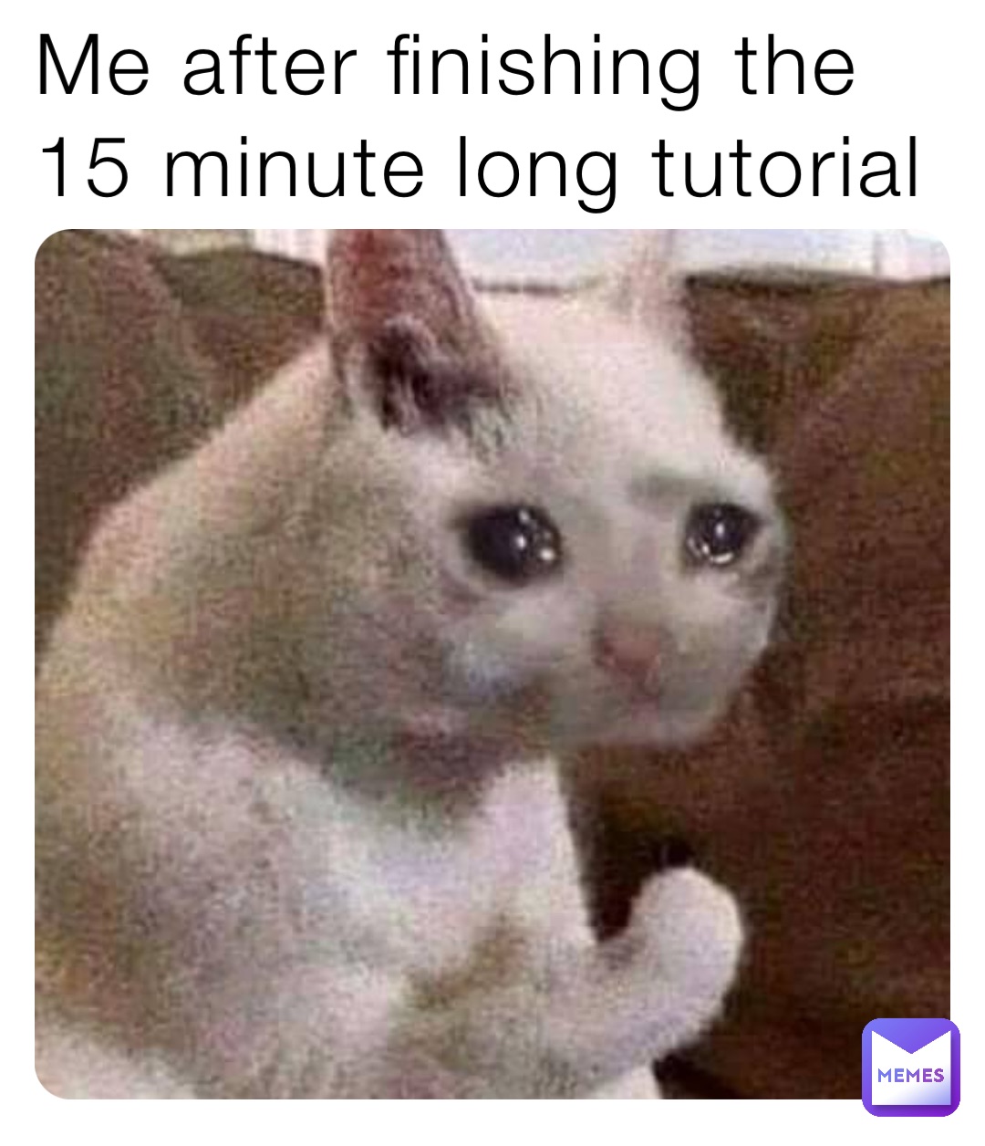 Me after finishing the 15 minute long tutorial