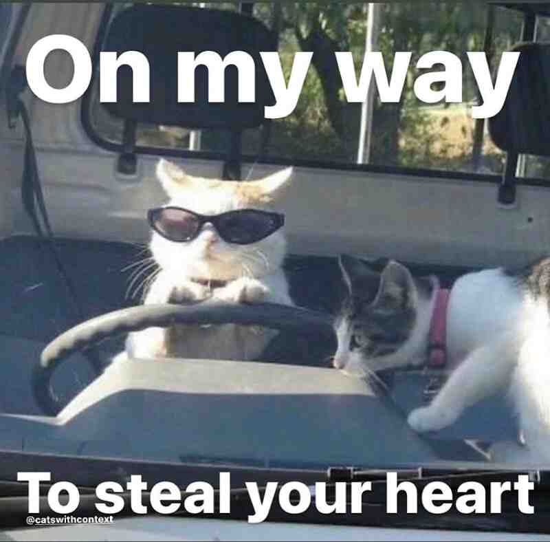 Meme shared by @awkward_wendigo123