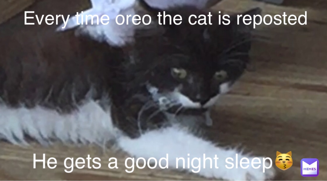 Every time oreo the cat is reposted He gets a good night sleep😽