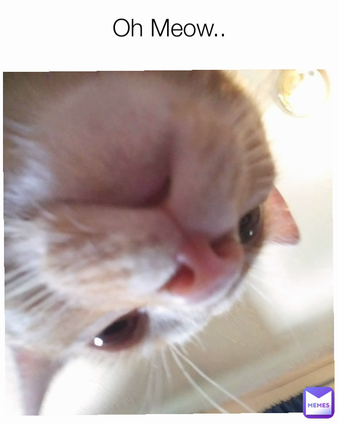 Oh Meow..

