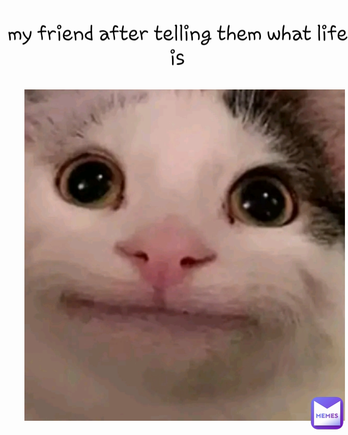 my friend after telling them what life is