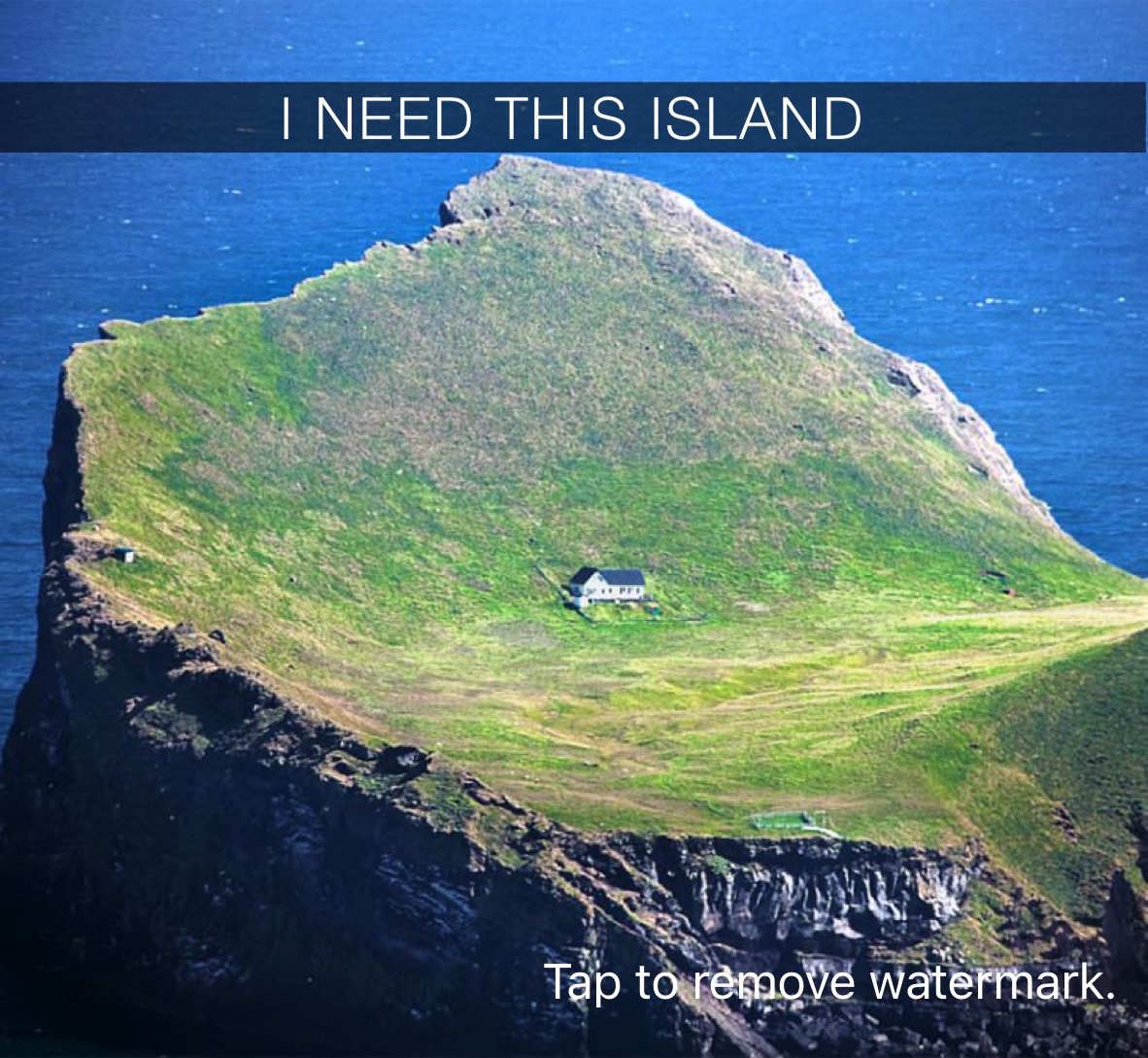 I NEED THIS ISLND  I NEED THIS ISLAND 