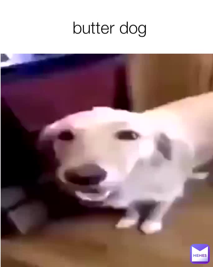 butter dog biggie_cheese_ Memes