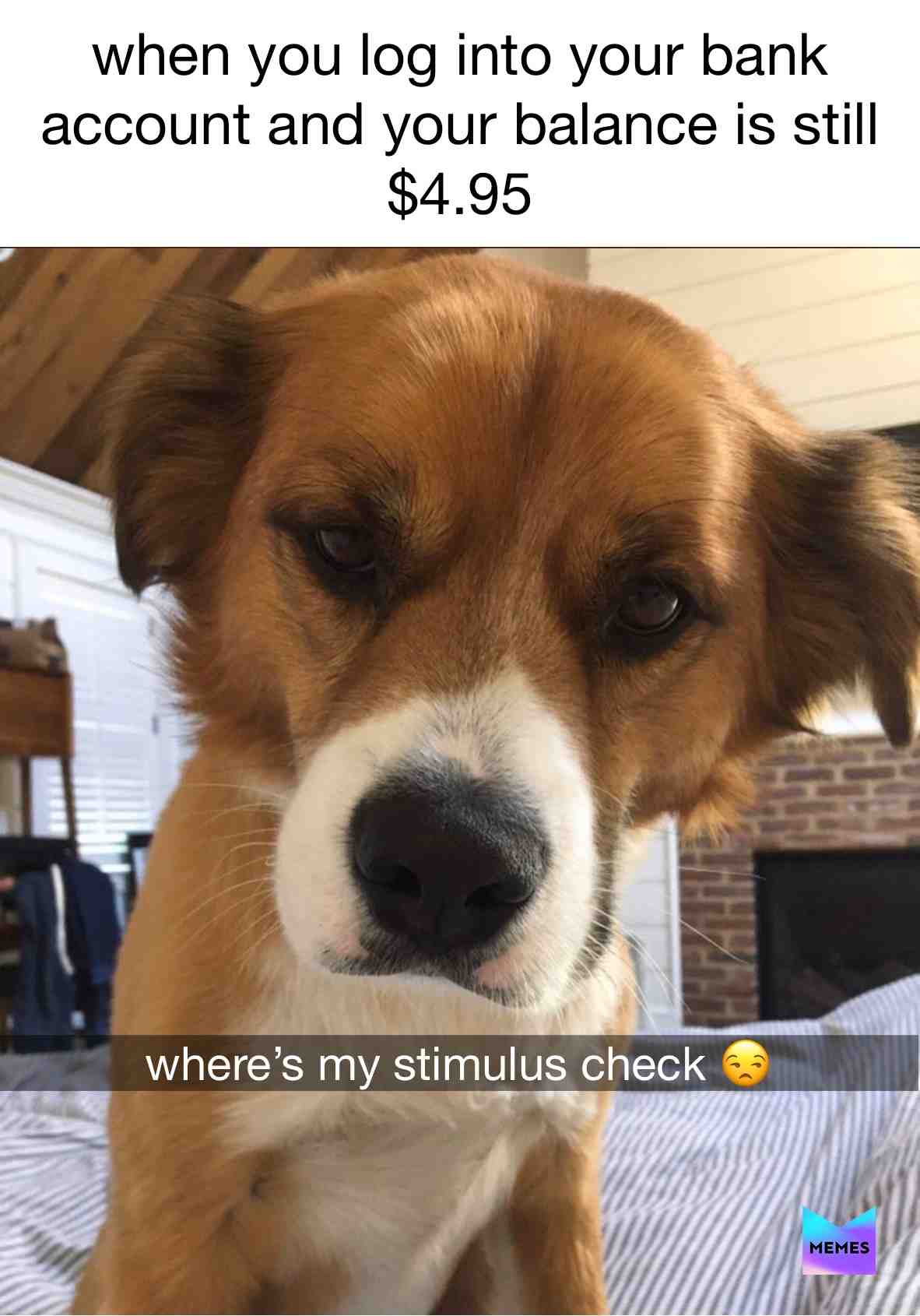 #stimuluscheck