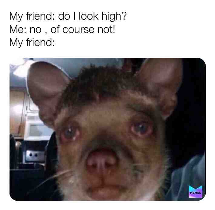 π well .. what do you guys think ? follow @phatmemes for more ! #phattags β€οΈβ€οΈβ€οΈβ€οΈπππ #funnytexts #dankmemes #memes #like #mom #comedy #family #halloween #scary #witch #skeleton #spooky #october #november #makeup Facepaint #love #funny #funnymemes #thot #lol #lmao #ugly #ratchet #instagram #tiktok #moms #extra #music #angry #arguments #funnyvideos #tiktok #moms #extra #music #angry #arguments #funnyvideos #funnyposts #likes #like4like #dad #spongebob #spongebobmemes #funnyposts #likes #like4like #dad #squidwardmemes #kids #face #likeforlikes #patrick #pineapple #tvshows #monday #food #dog #high #drugs #english #dance #train #training #gaming #girls #good #gotem #year #fun #funnymeme #books #picoftheday #horny #nonutnovember