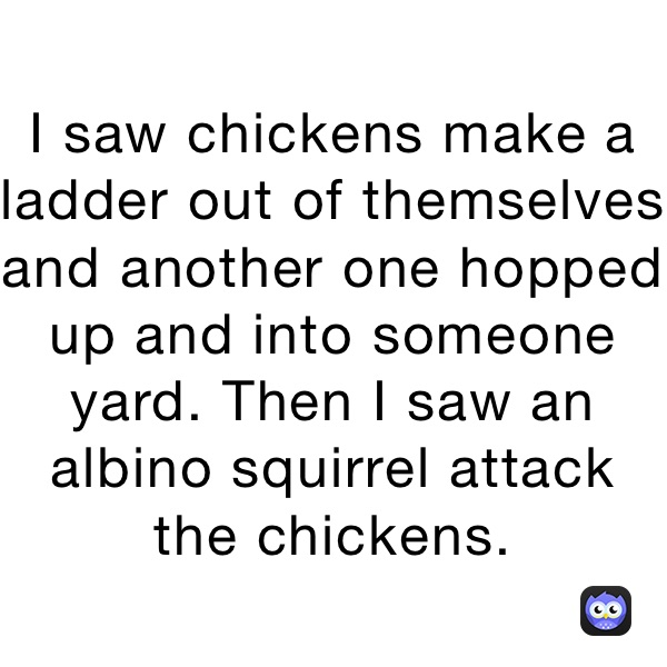 I saw chickens make a ladder out of themselves and another one hopped up and into someone yard. Then I saw an albino squirrel attack the chickens. 