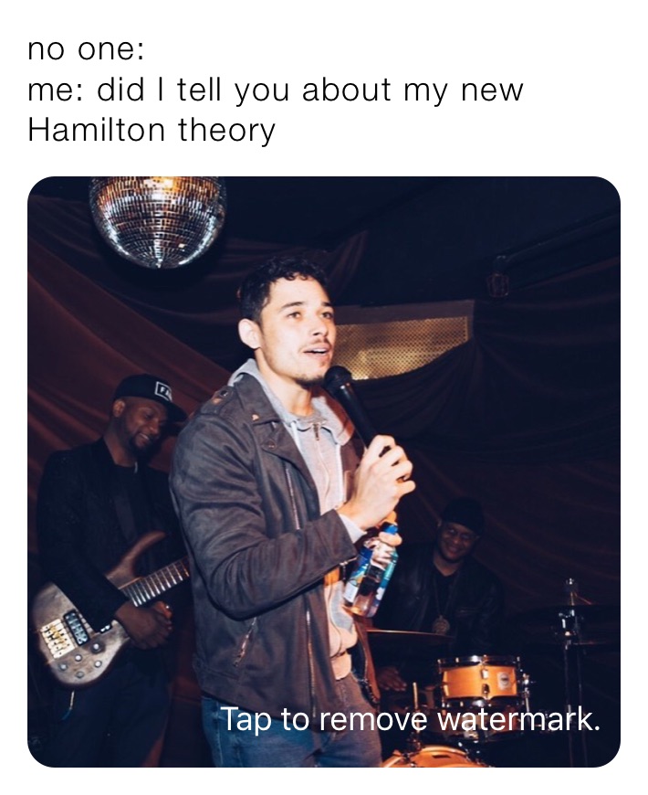 no one: 
me: did I tell you about my new Hamilton theory 