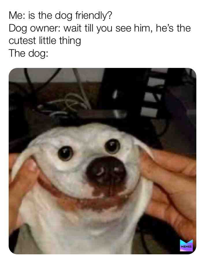 ๐ dog memes ๐ #funny #memes #luagh #owner