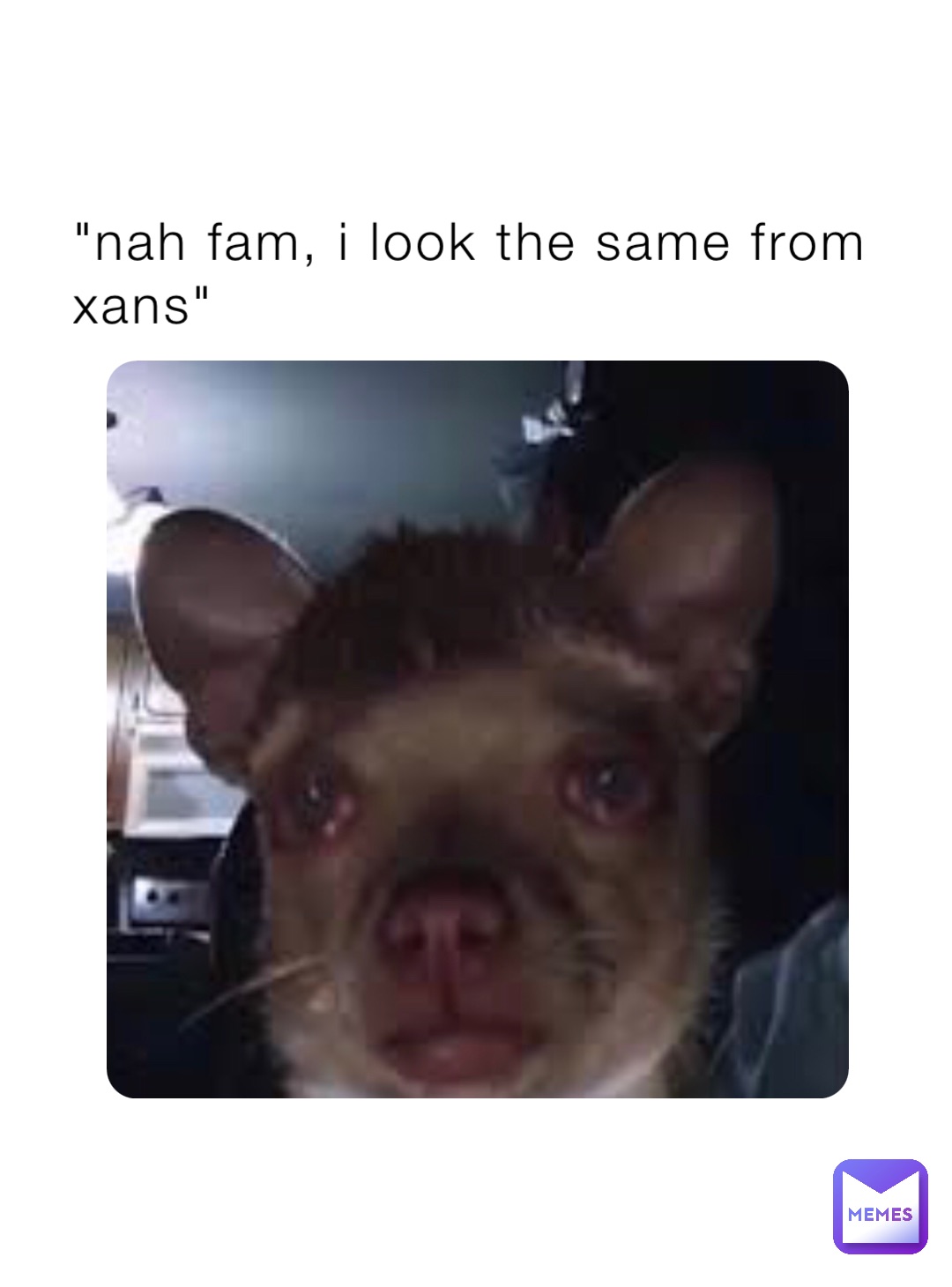 "nah fam, i look the same from xans"