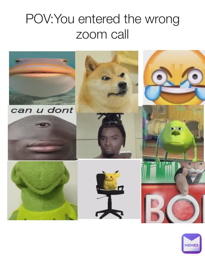POV:You entered the wrong zoom call Memes kskslskes E e