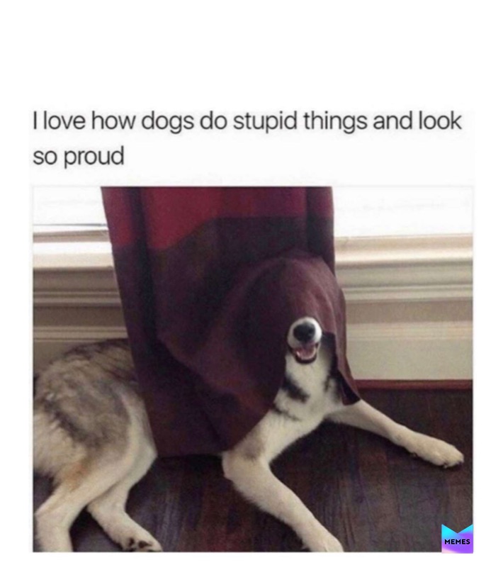 Meme by Micha_MemeQueen111