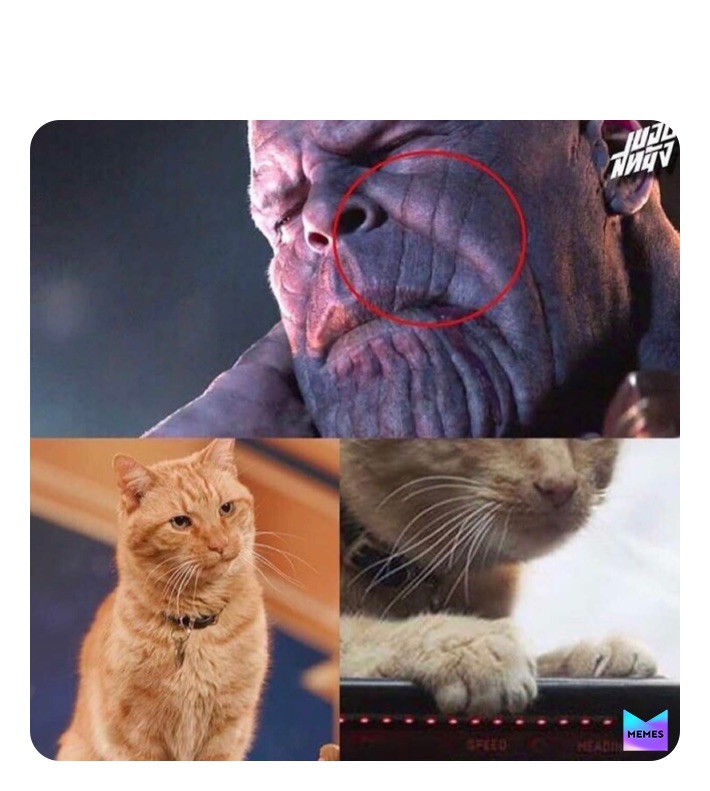 Meme by Micha_MemeQueen111