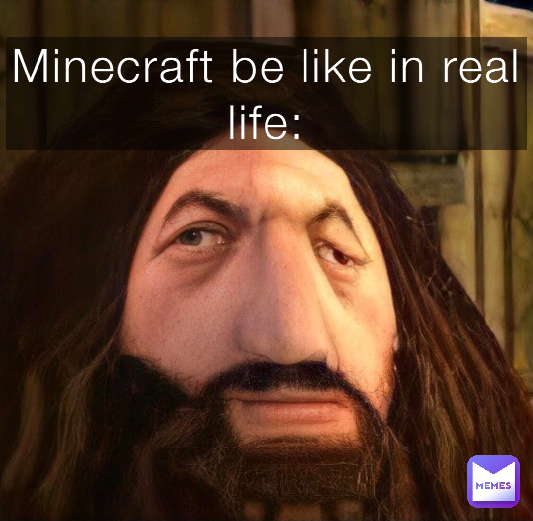 Minecraft be like in real life:
