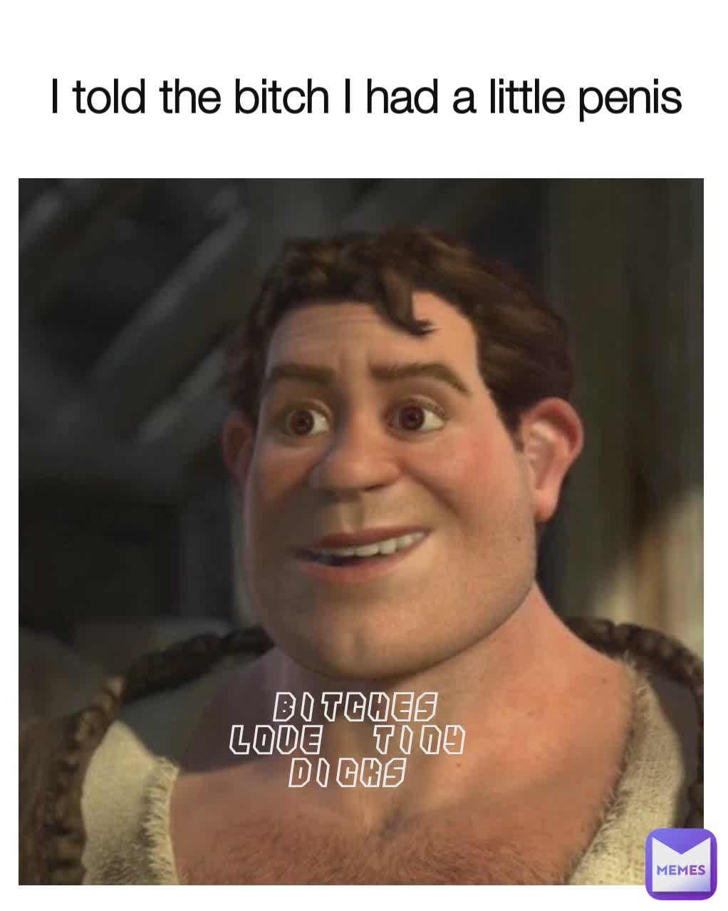 I told the bitch I had a little penis Bitches love tiny dicks |  @Blackmemer06 | Memes