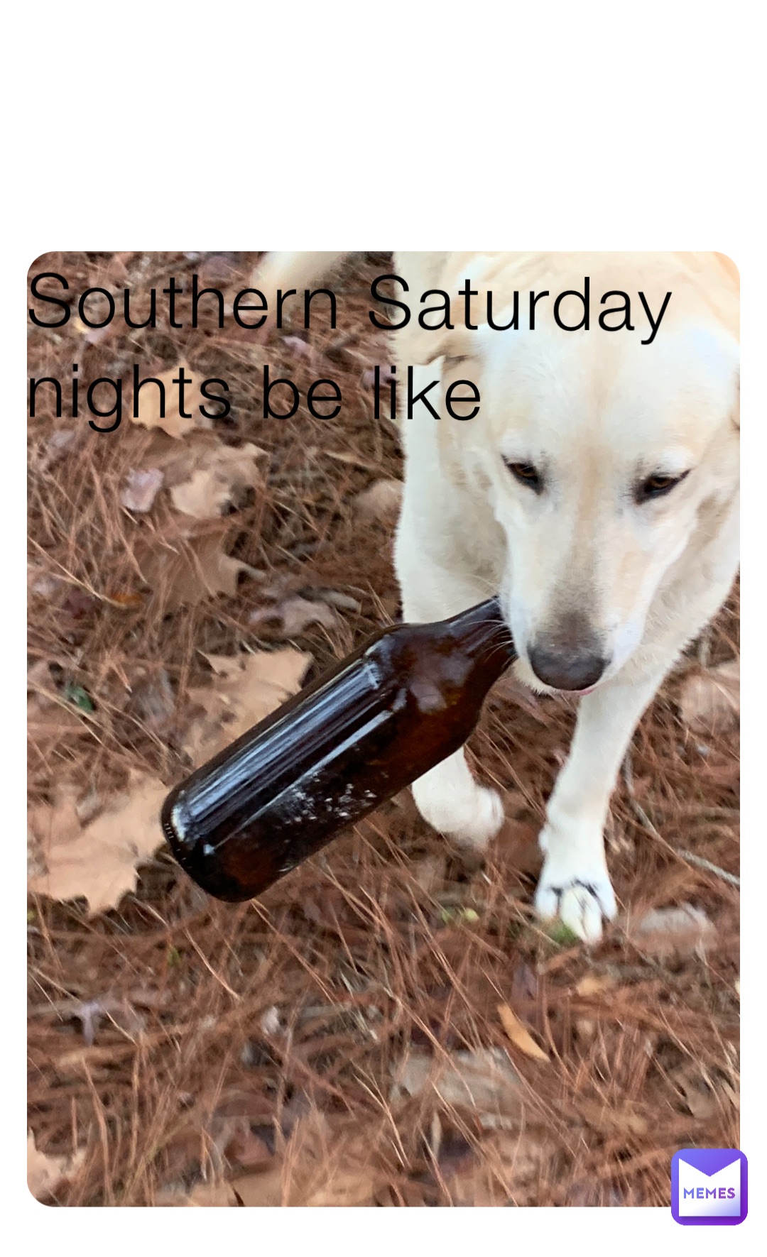 Southern Saturday nights be like