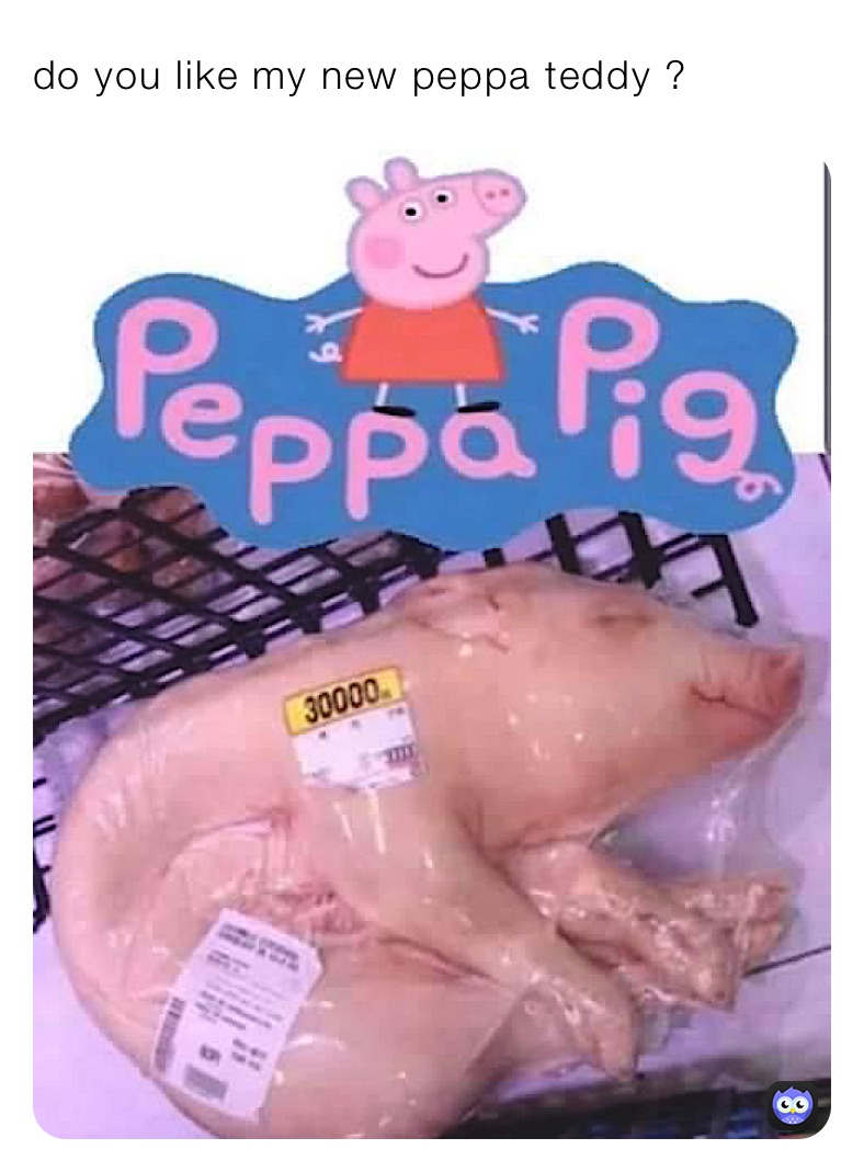 do you like my new peppa teddy ?