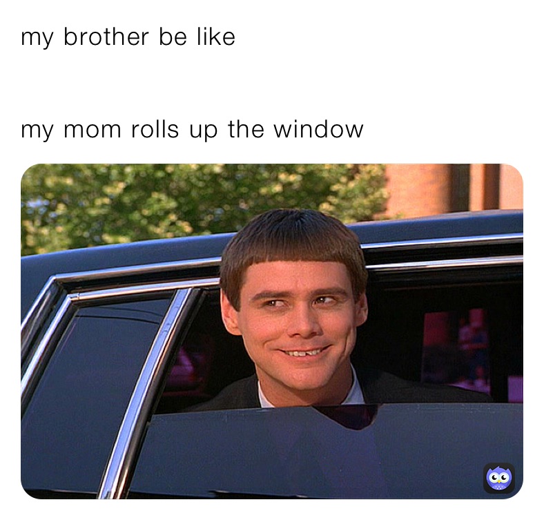 my brother be like 


my mom rolls up the window