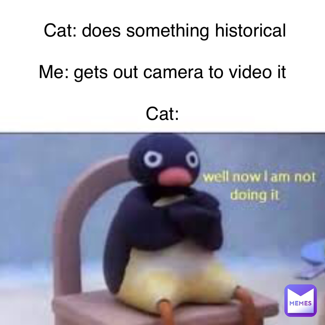 Cat: does something historical 

Me: gets out camera to video it

Cat: