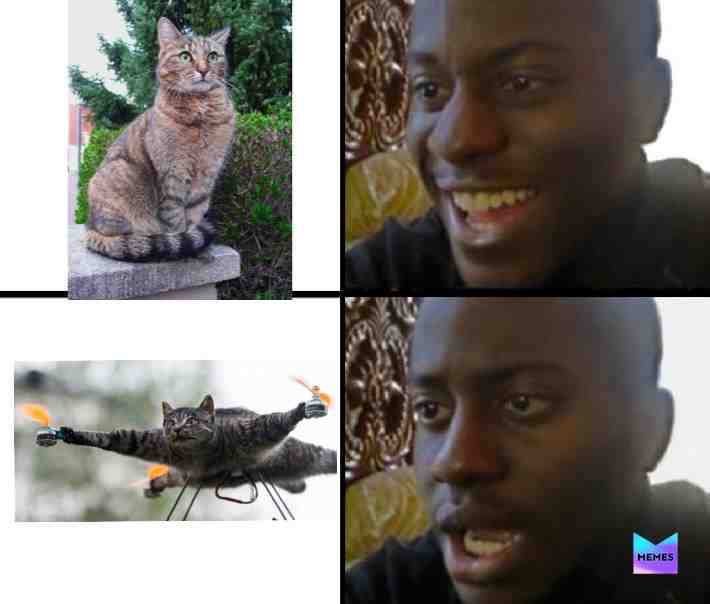 ...  #wtf ​ #LikeAndFollow ​ #imnotgonnasleepnow ​ #yeetamarat ​ #imgonnadie ​ #cat