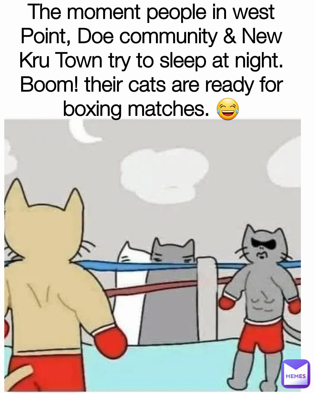 The moment people in west Point, Doe community & New Kru Town try to sleep at night. Boom! their cats are ready for boxing matches. 😂
