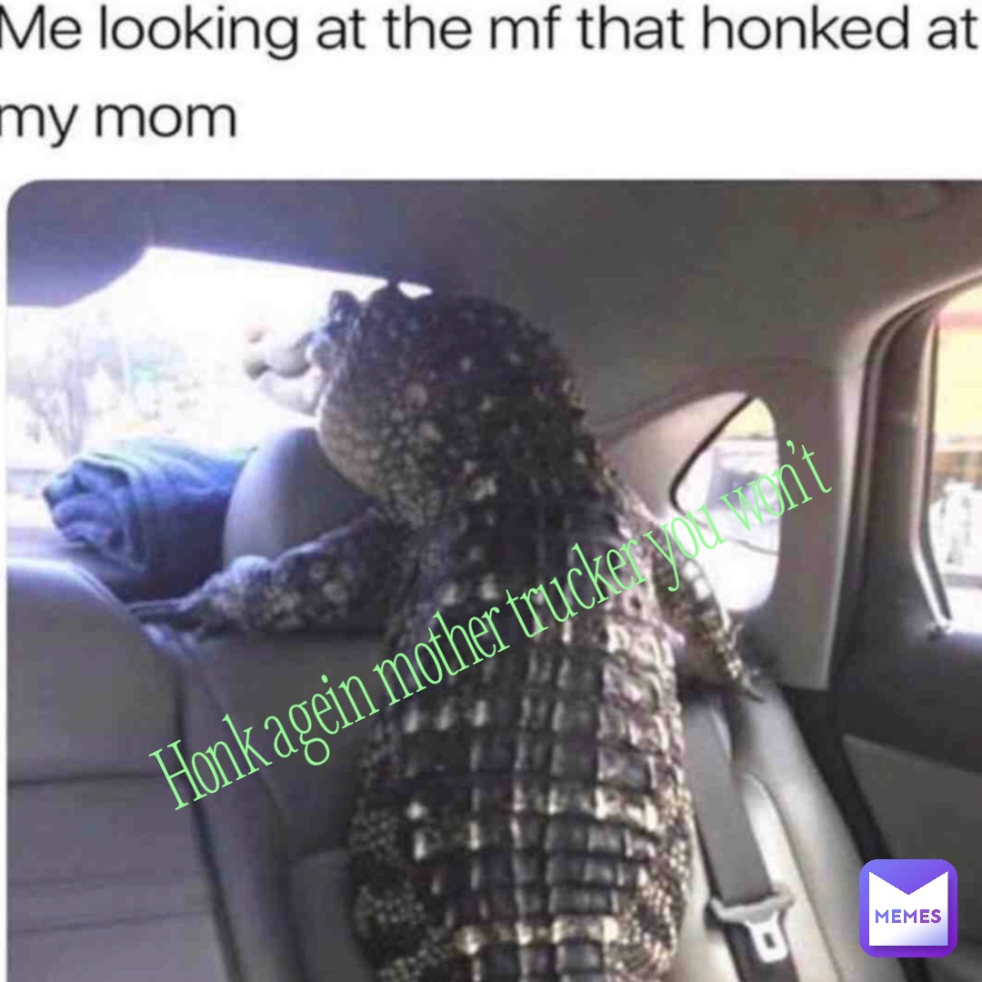 HONK AGEIN MOTHER TRUCKER YOU WON’T