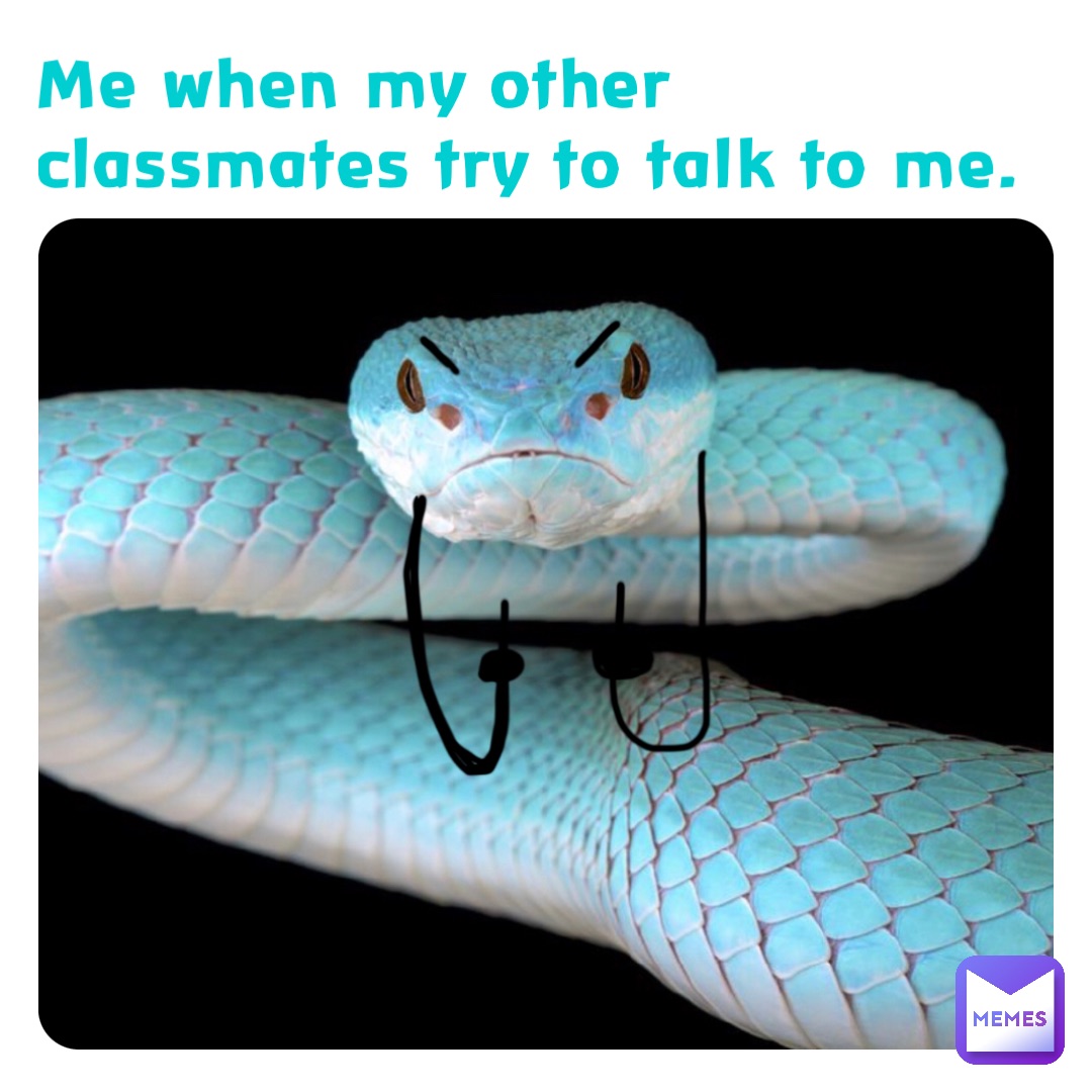 Me when my other classmates try to talk to me.