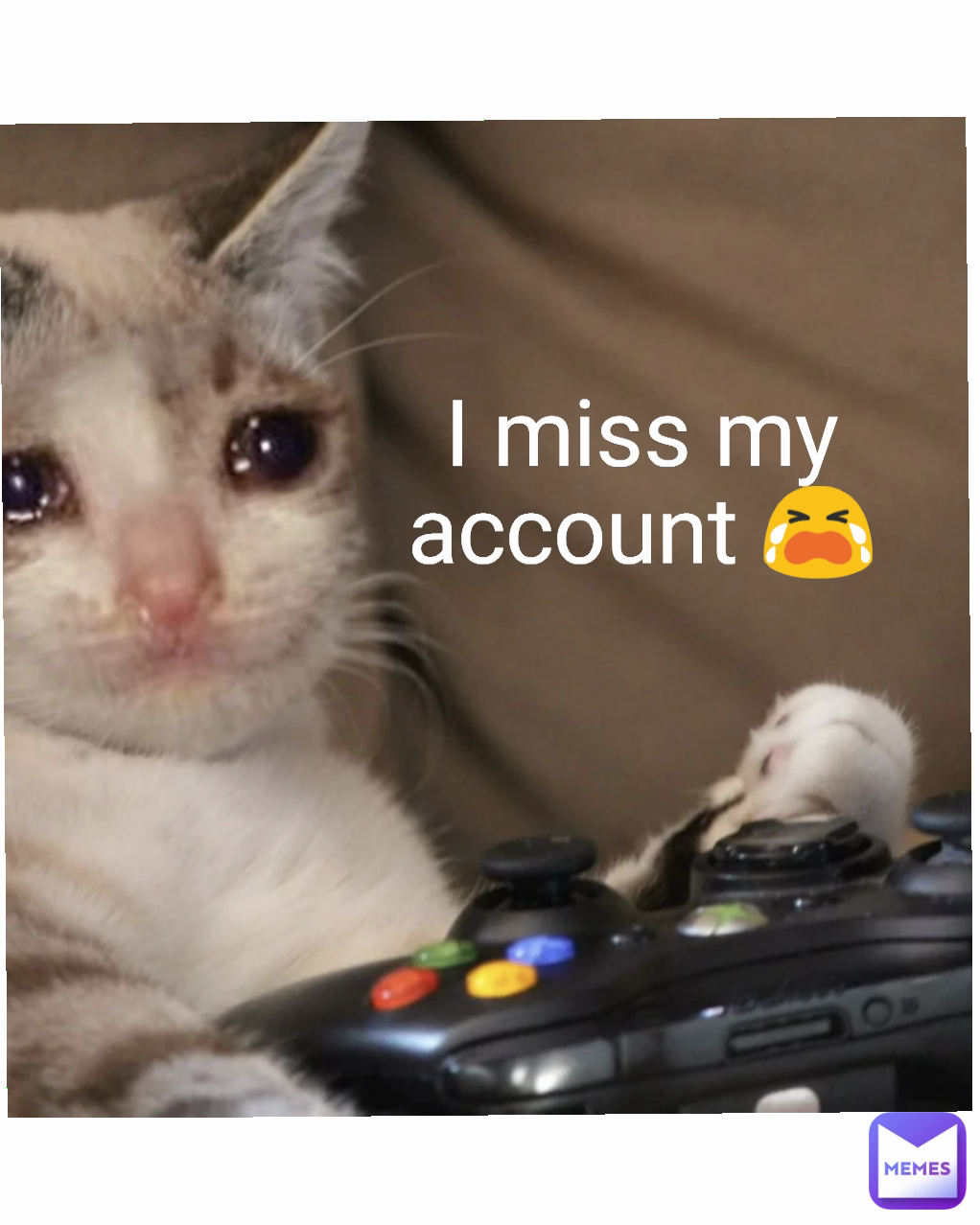 Type Text I miss my account 😭