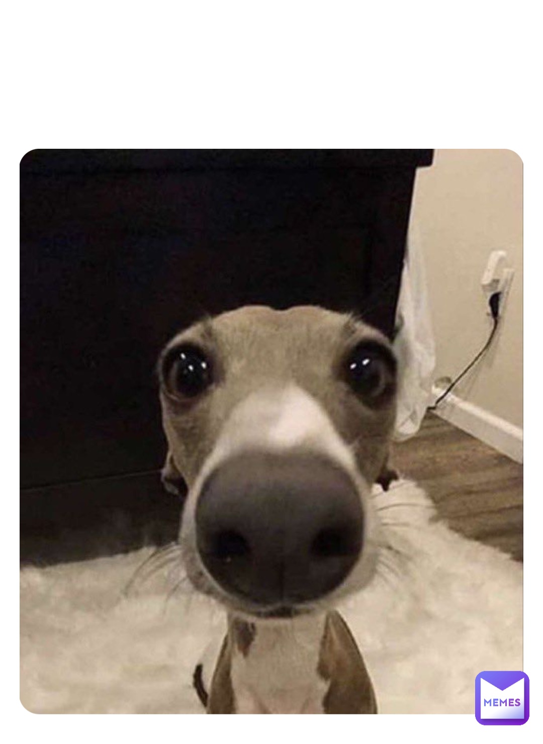 Meme by BeamingLore_69