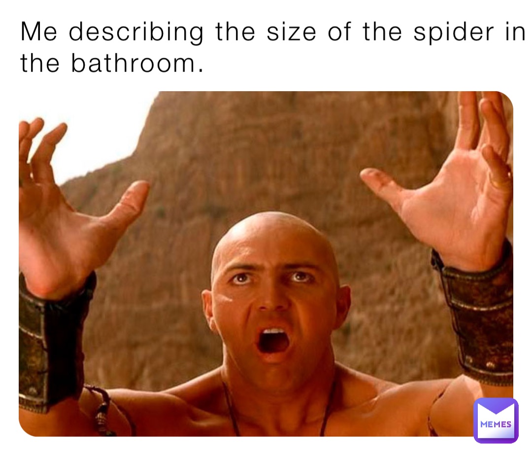 Me describing the size of the spider in the bathroom.