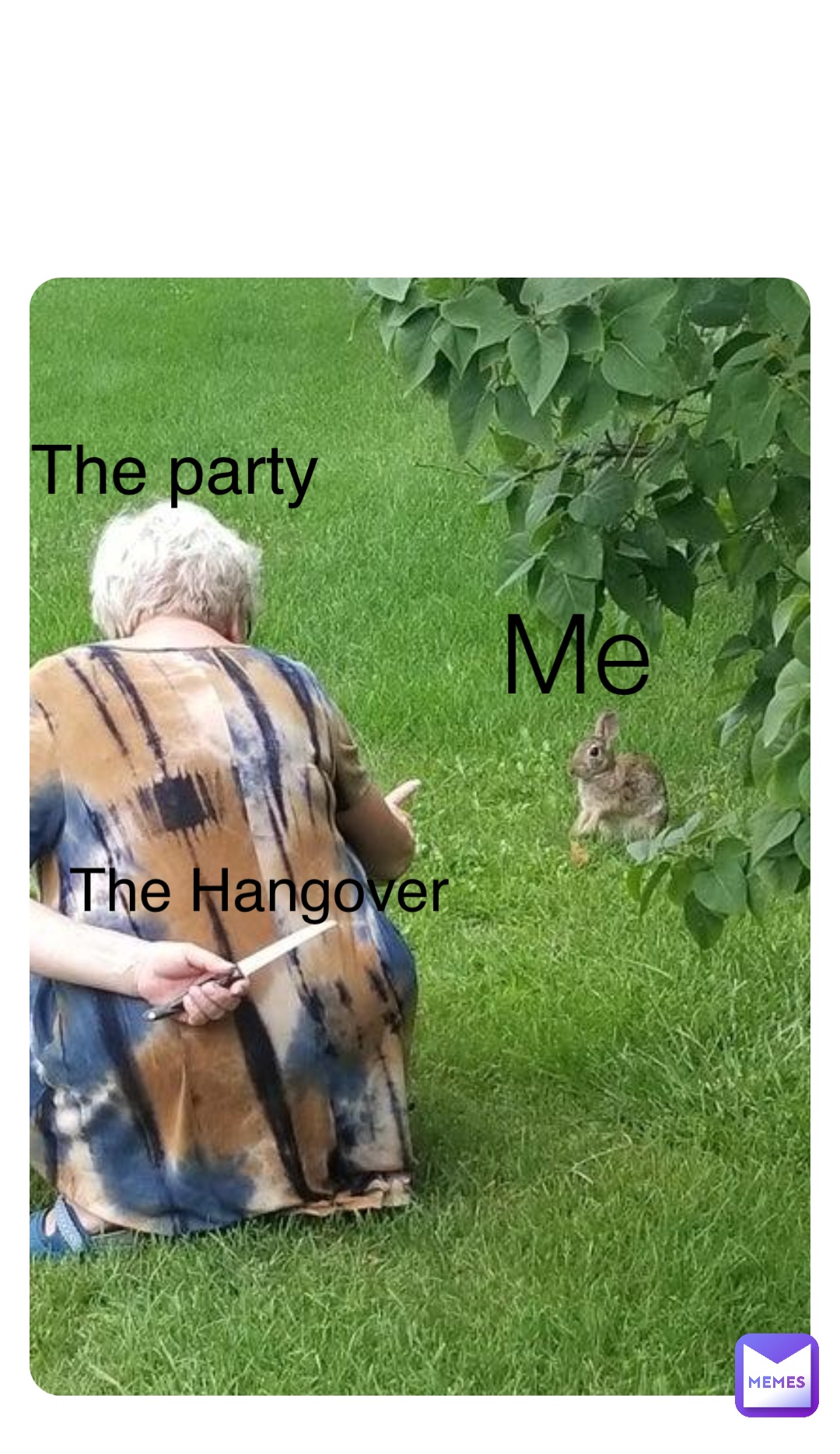 Hangover Meme