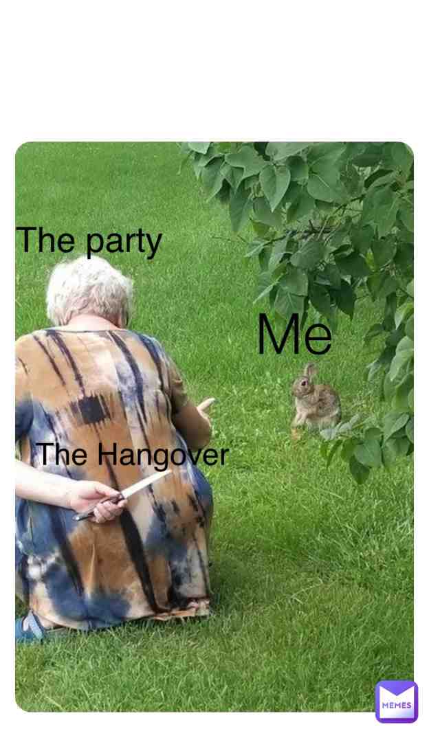 Meme shared by @lillixaf