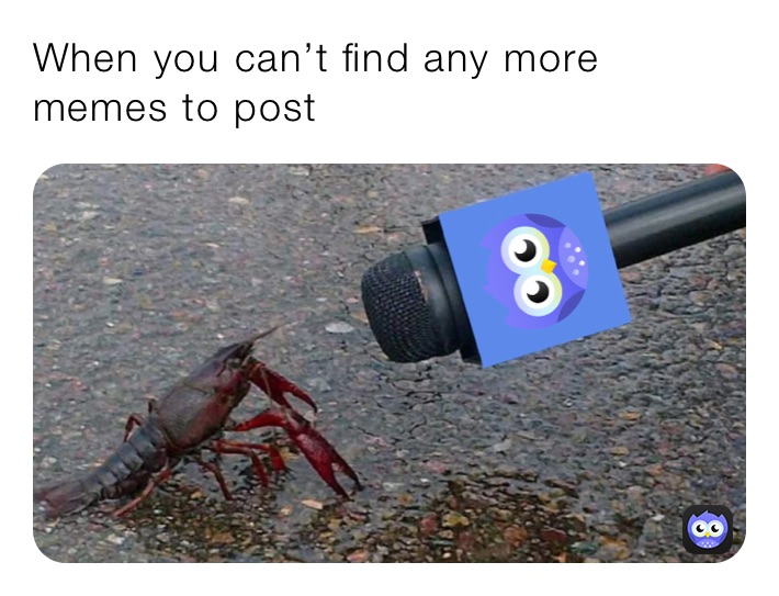 When you can’t find any more memes to post laith_alamat Memes