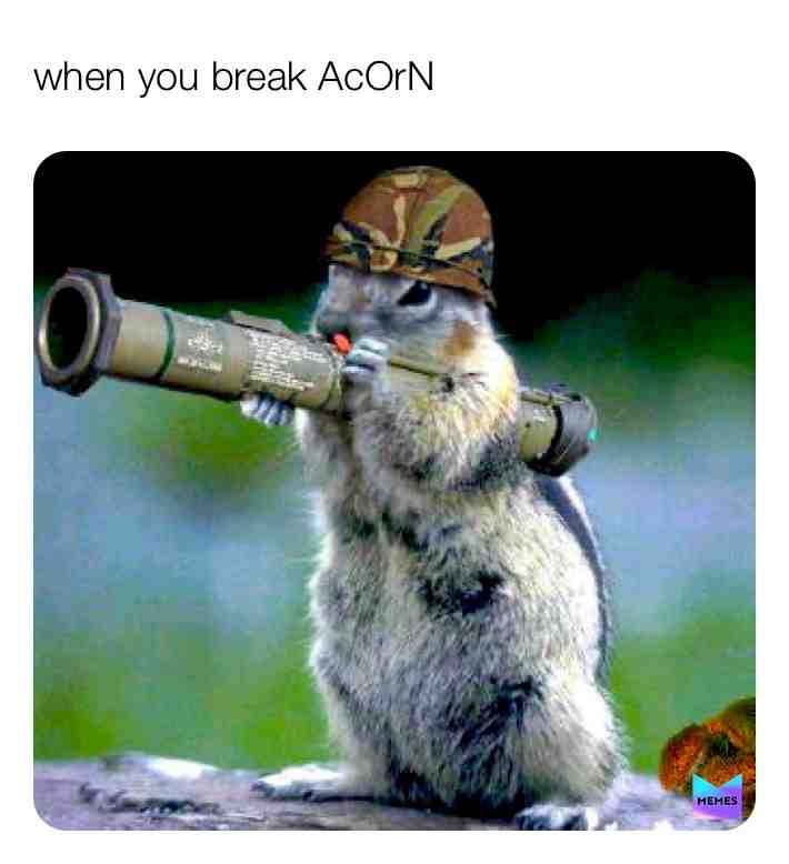 Meme shared by @bot_memes