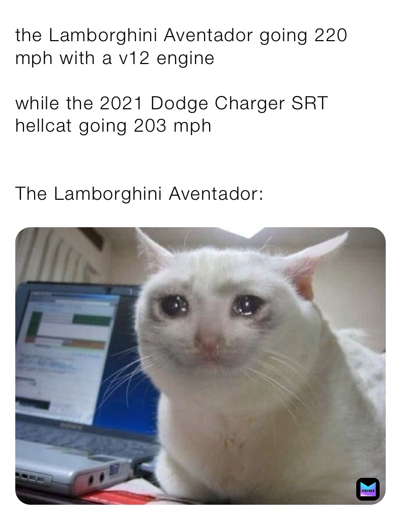 Meme by pizza_rolls_tool