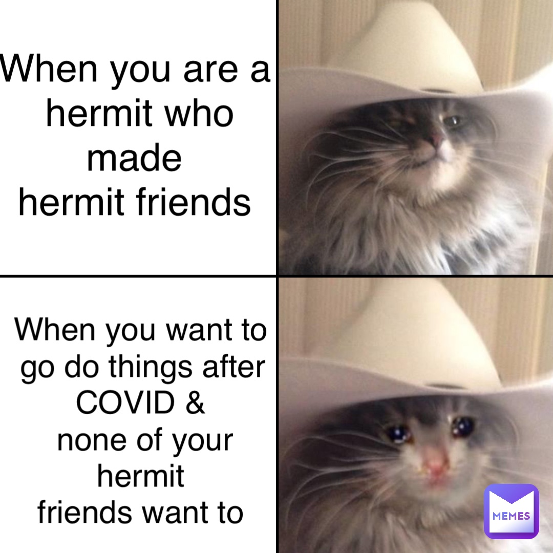 When you are a
hermit who made
hermit friends When you want to
go do things after COVID &
none of your hermit
friends want to