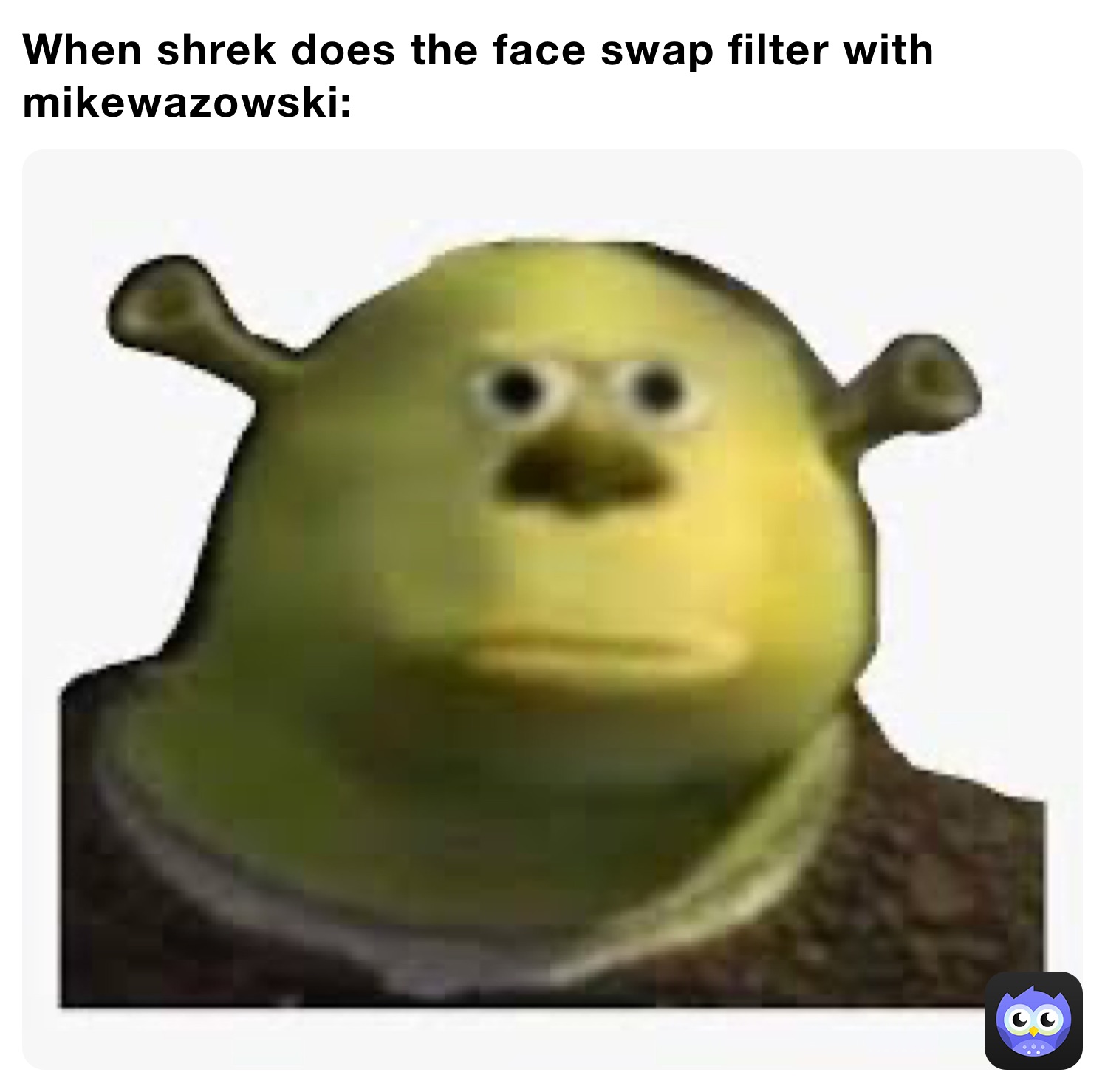 When shrek does the face swap filter with mikewazowski: