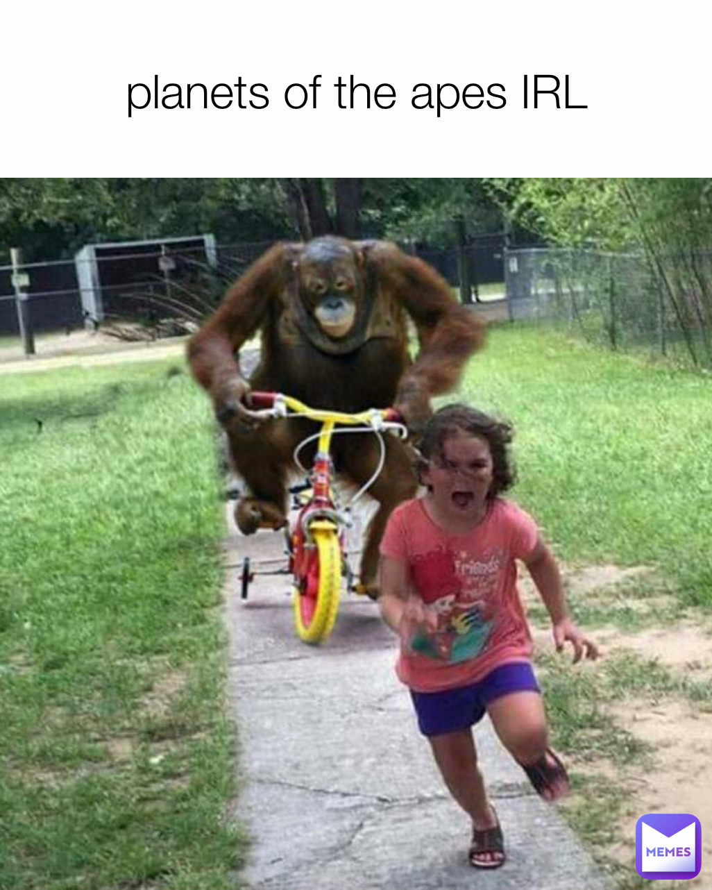 planets of the apes IRL