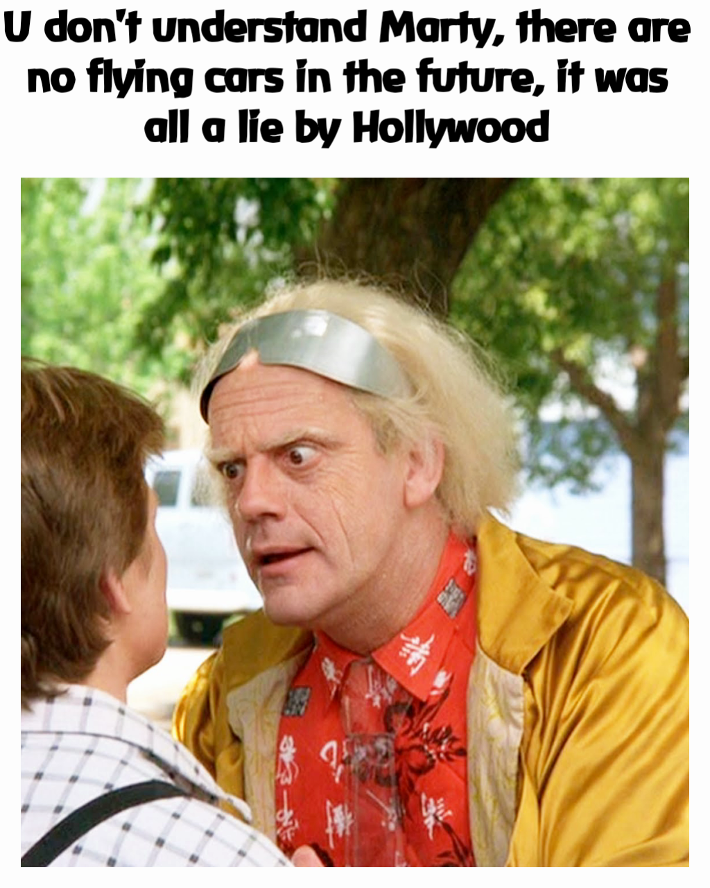 U don't understand Marty, there are no flying cars in the future, it was all a lie by Hollywood