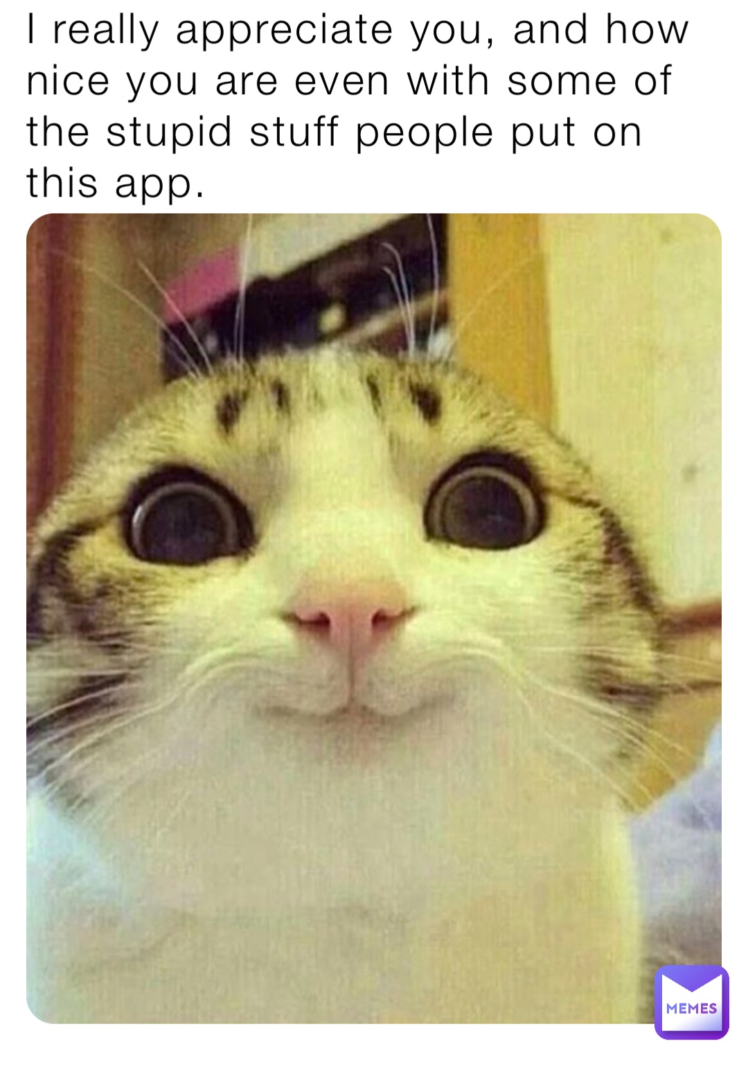 I really appreciate you, and how nice you are even with some of the stupid stuff people put on this app.