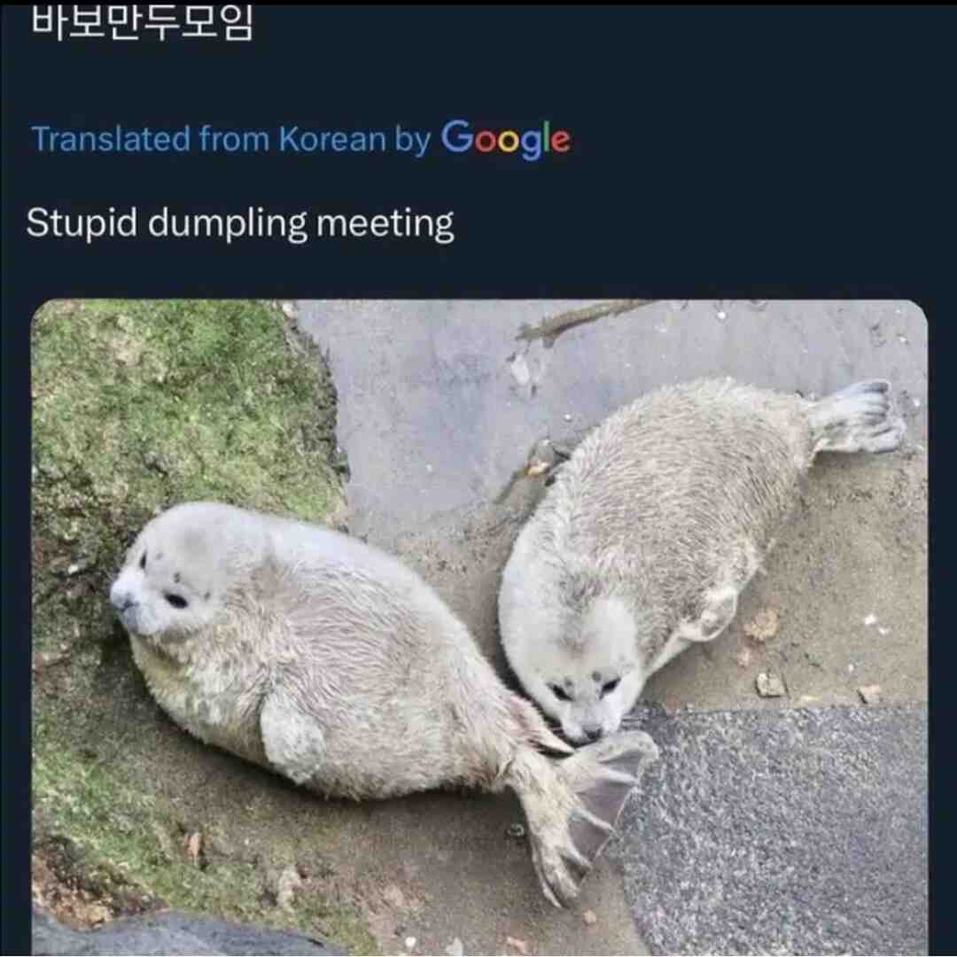 #pancake