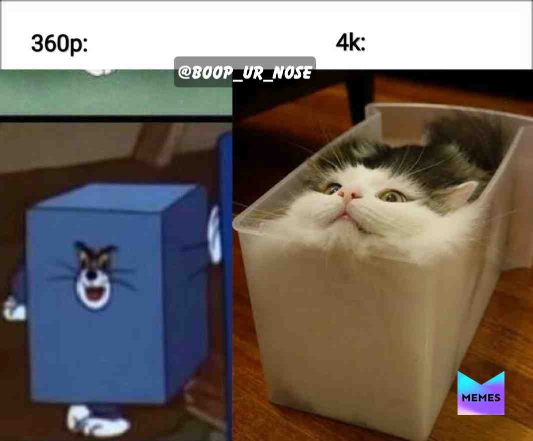 #block