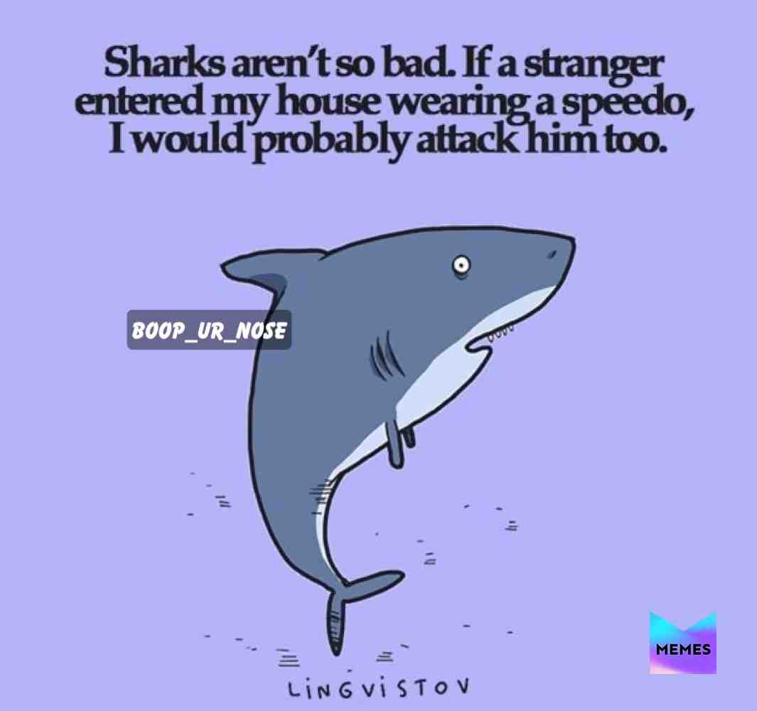 #shark