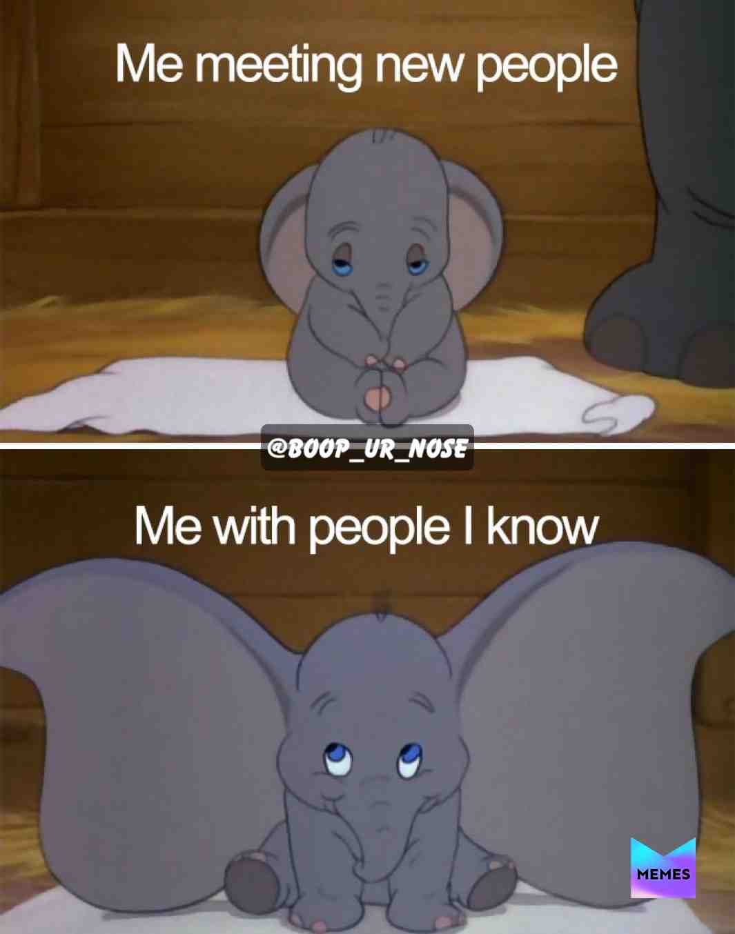 Sry for being inactive guys I’m super busy these days  #introvert