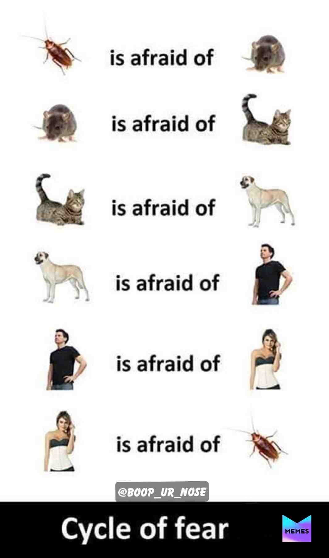 #fear