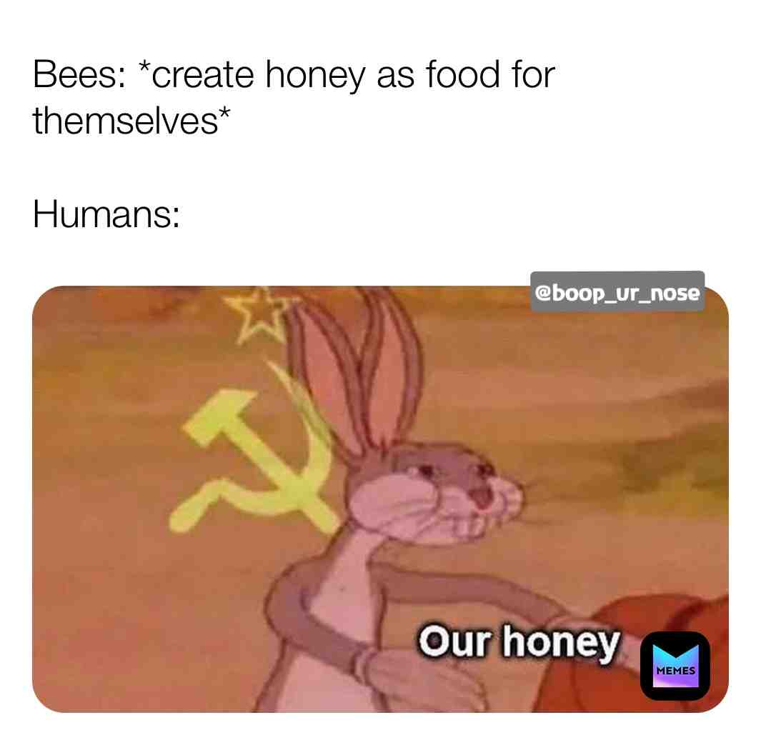 #bees