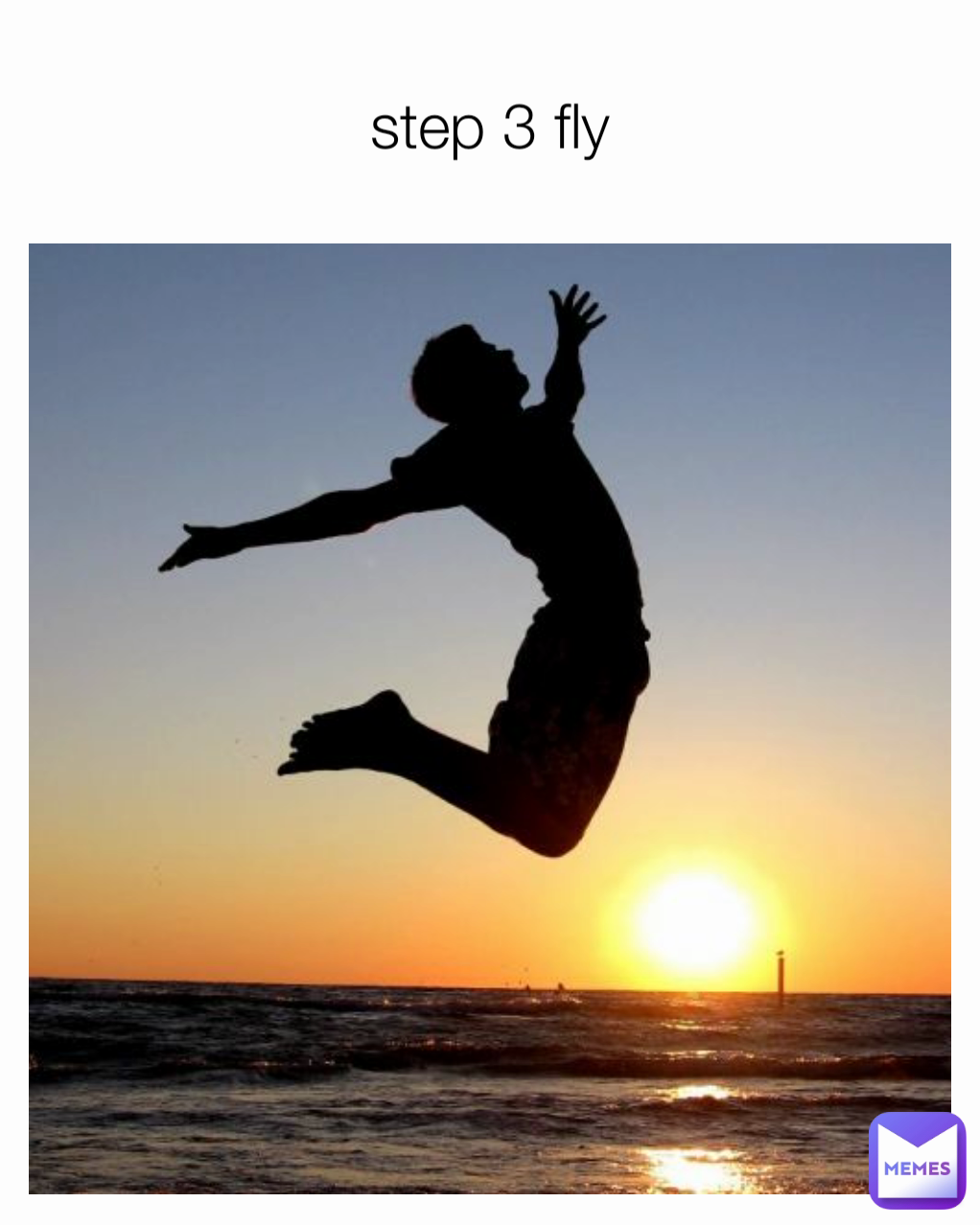 step 3 fly