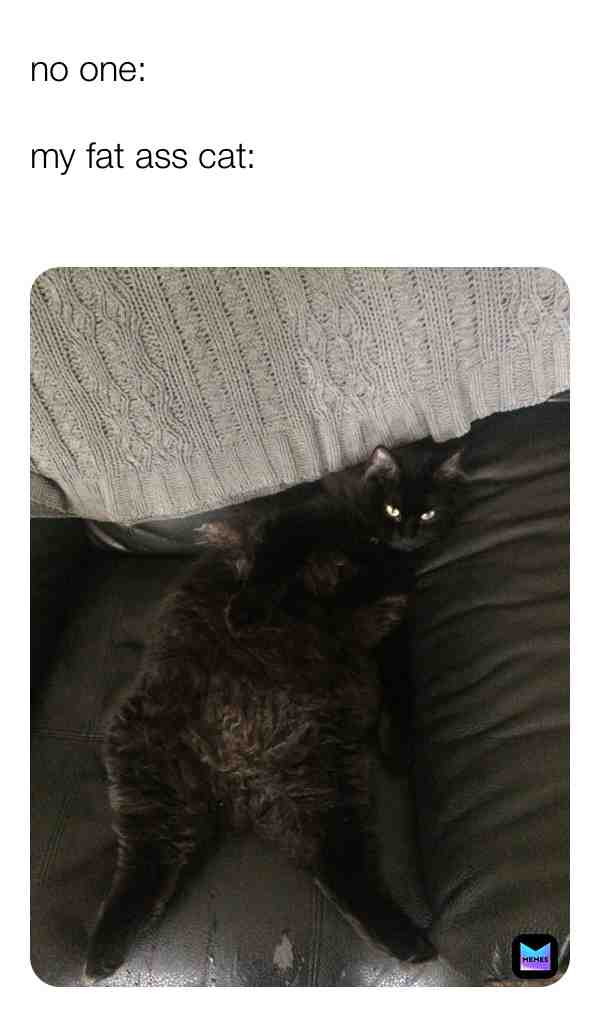 A true queen in the making 🏷 tags: #cats #queen #fatass #catlovers #catsarefunny #pose